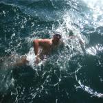 Photo de gshankar17295343