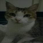 Photo de helenekh6983