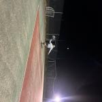 Photo de nguyentennis