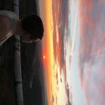 Photo de martap